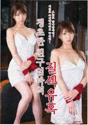观测样本封面：暖色灯下的木桌与两只杯子